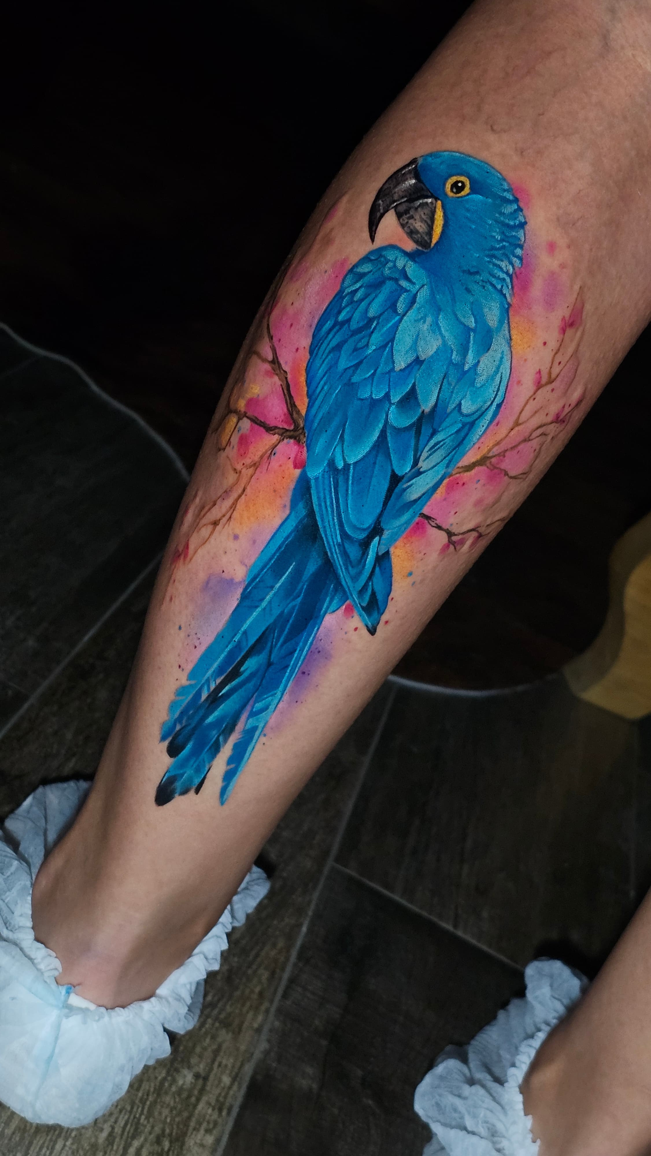 Aquarela Autoral #15