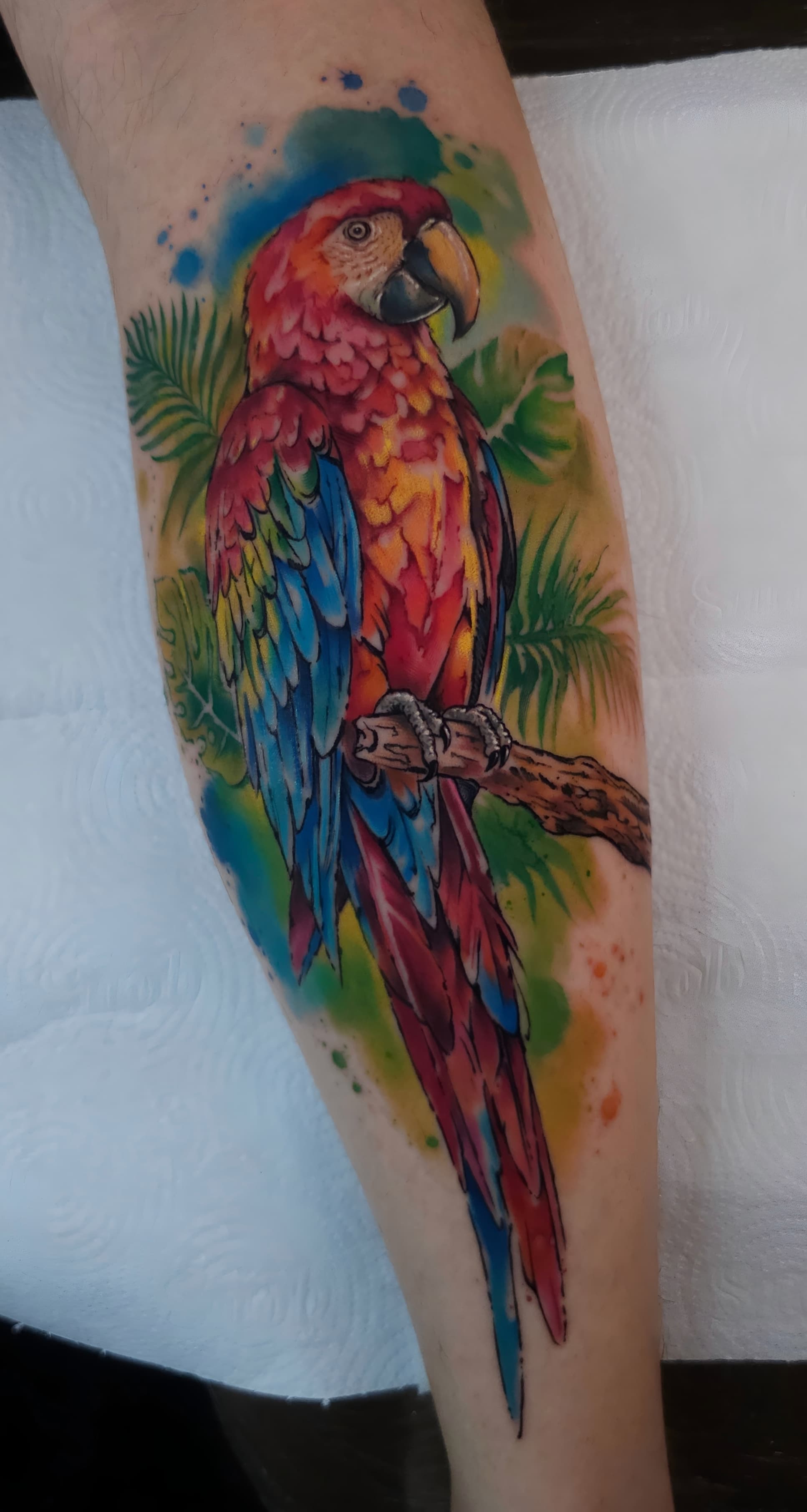 Aquarela Autoral #1
