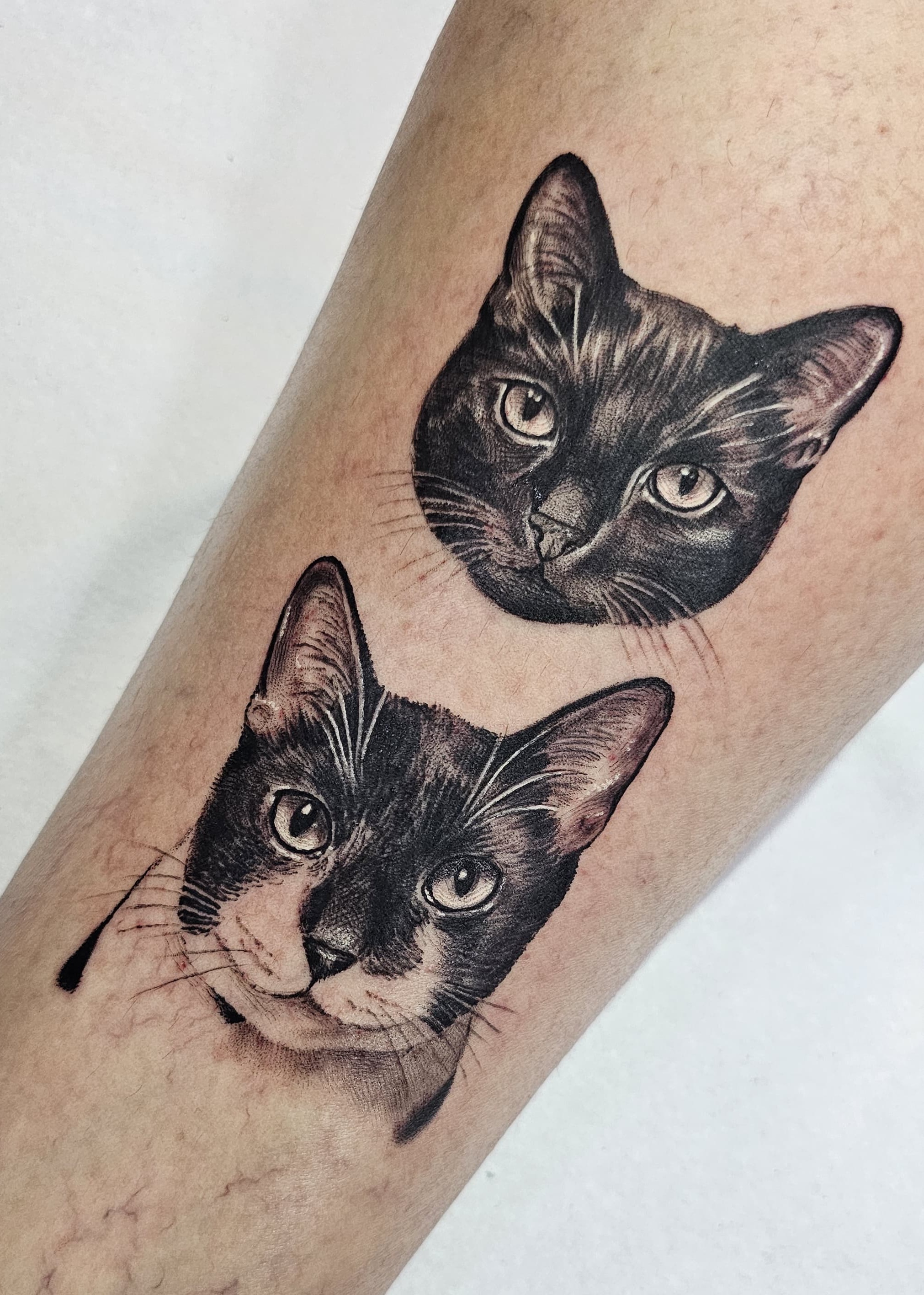 Pet Tattoo #1