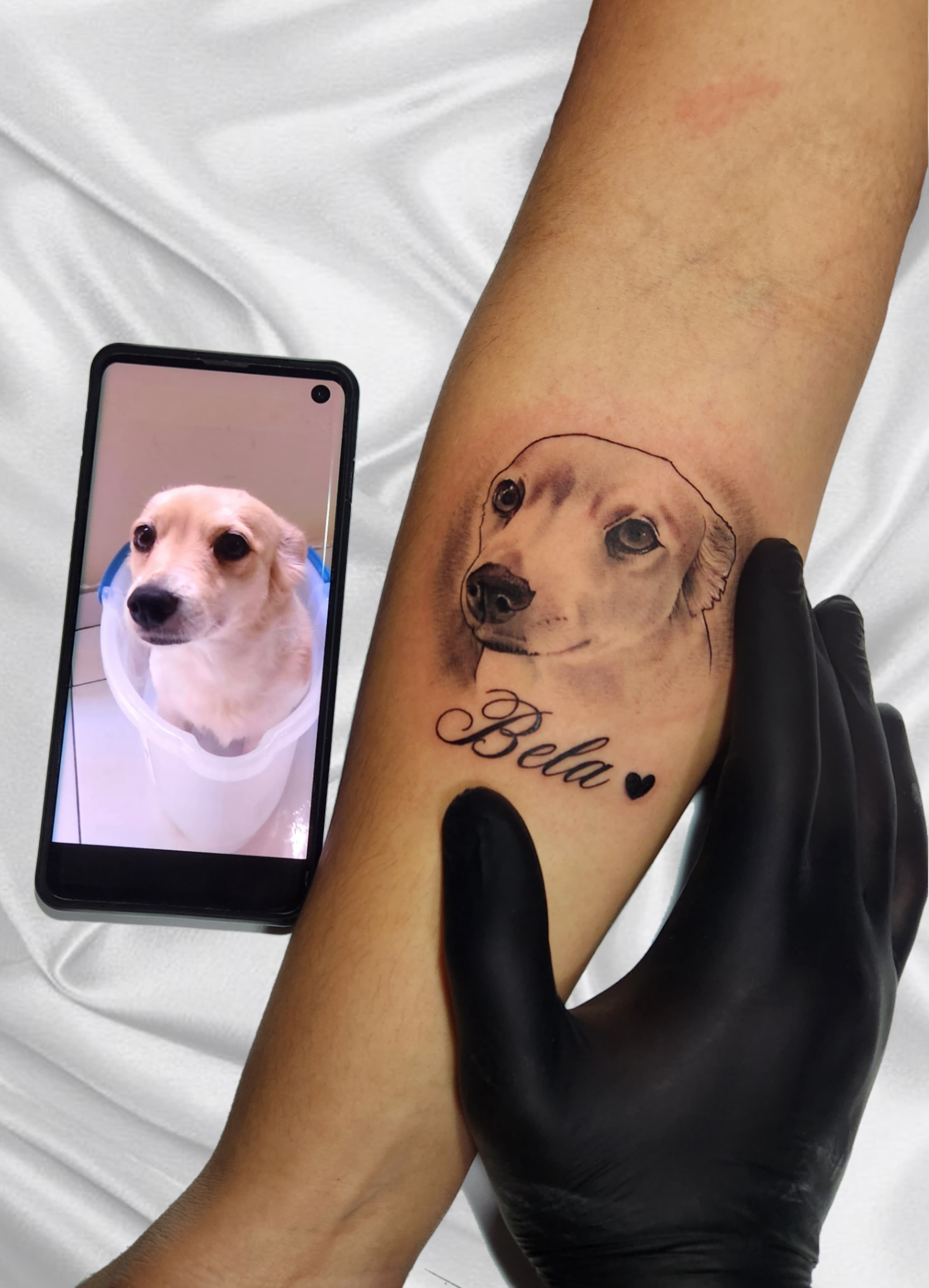 Pet Tattoo #16