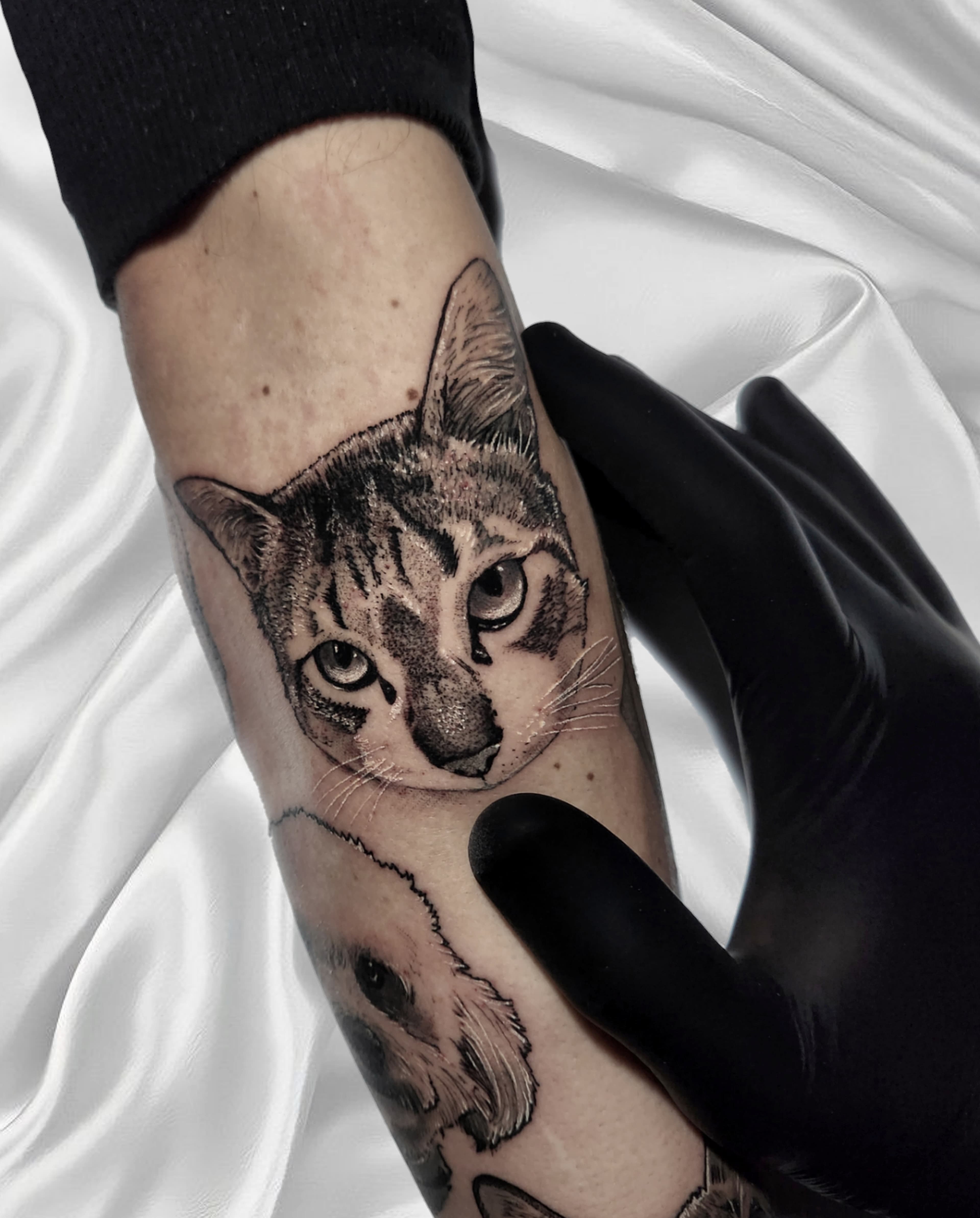 Pet Tattoo #17