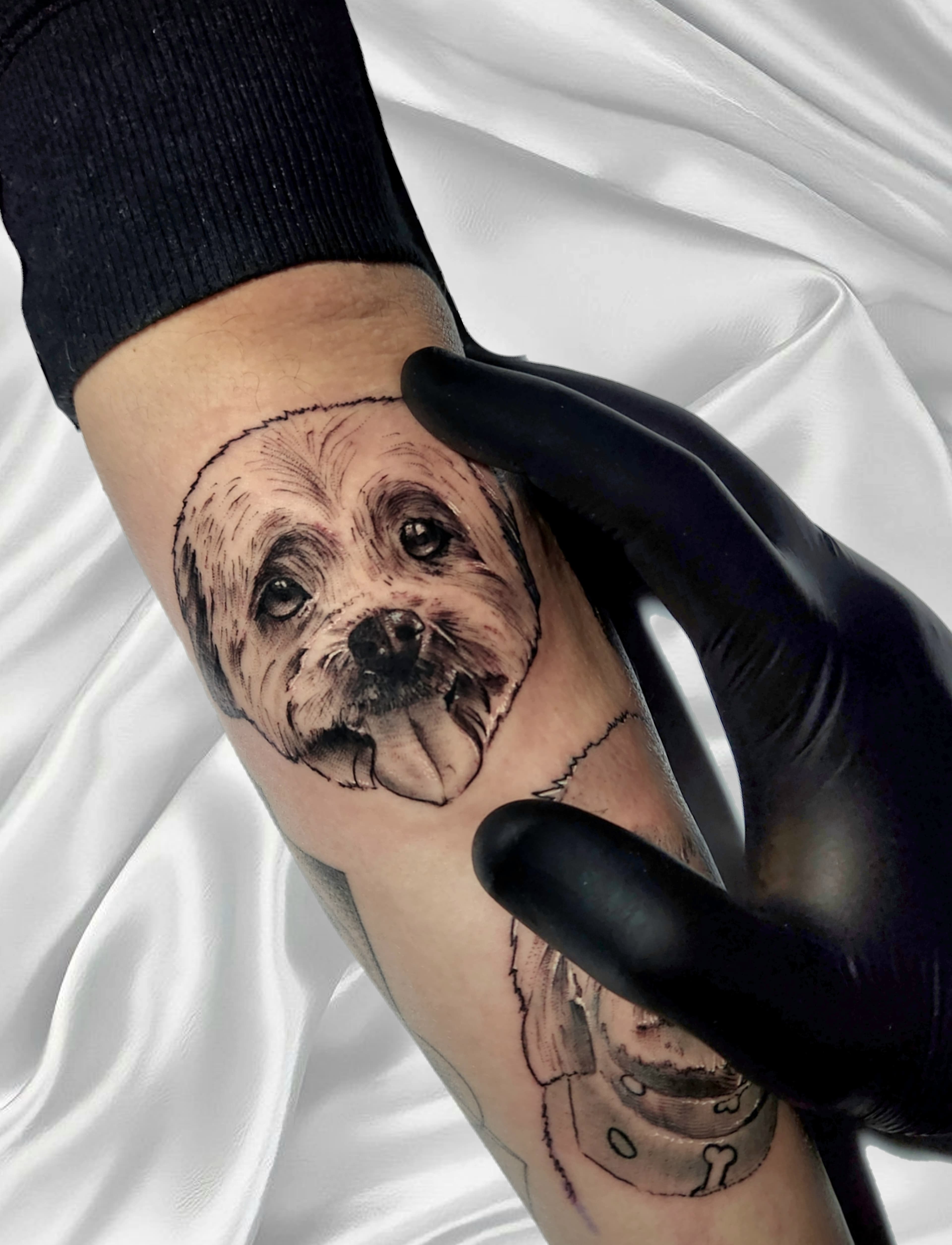 Pet Tattoo #18