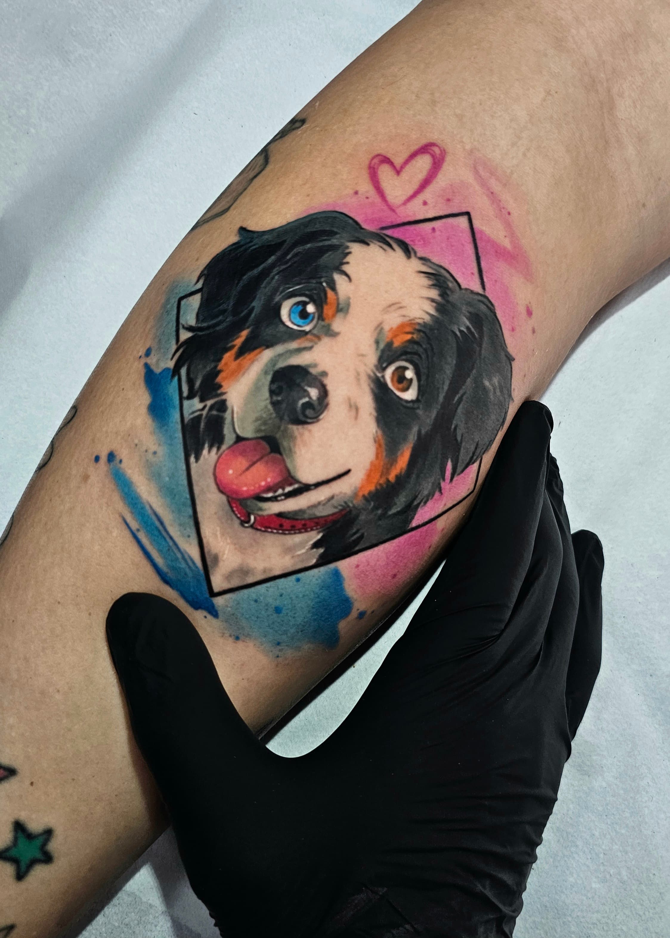 Pet Tattoo #2