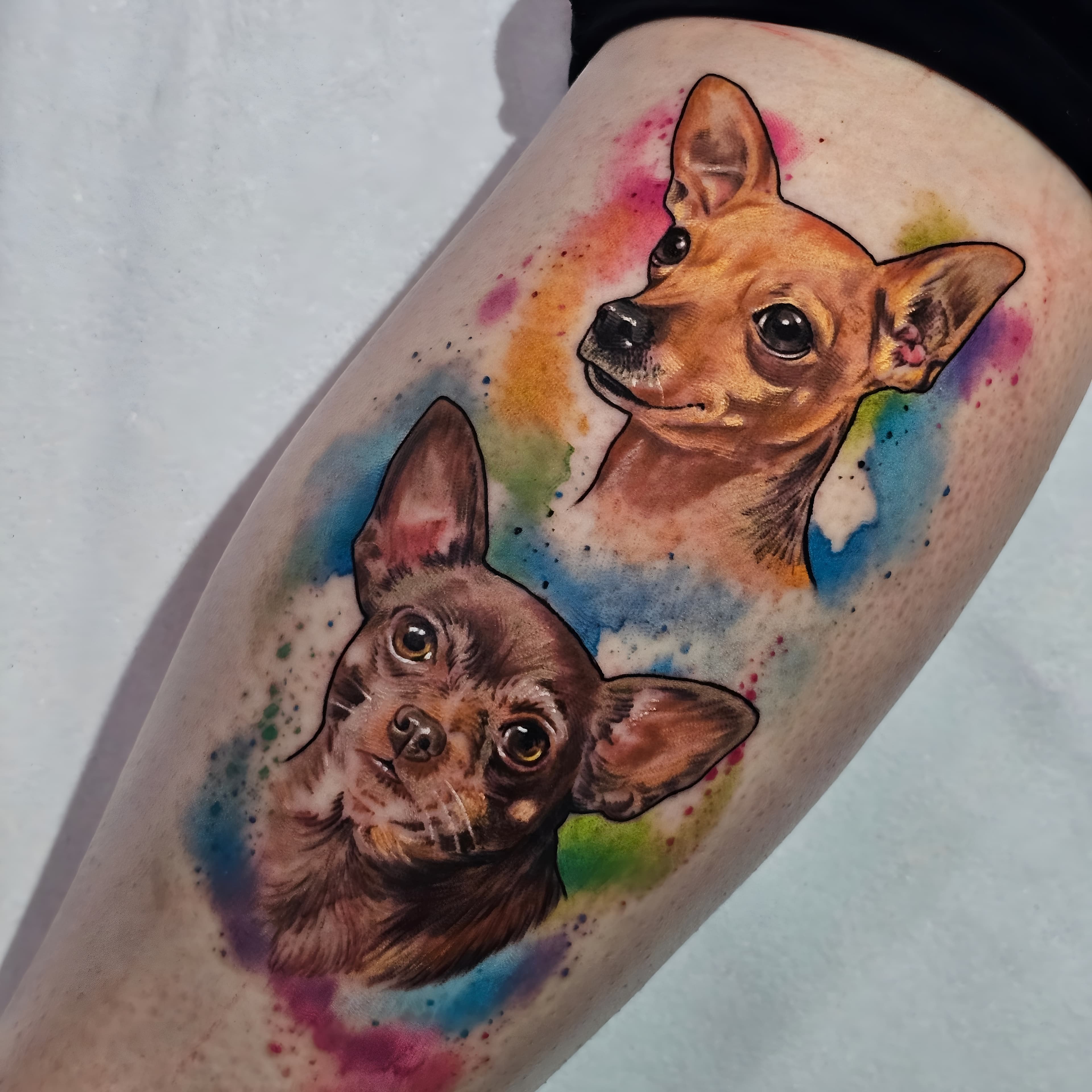 Pet Tattoo #7