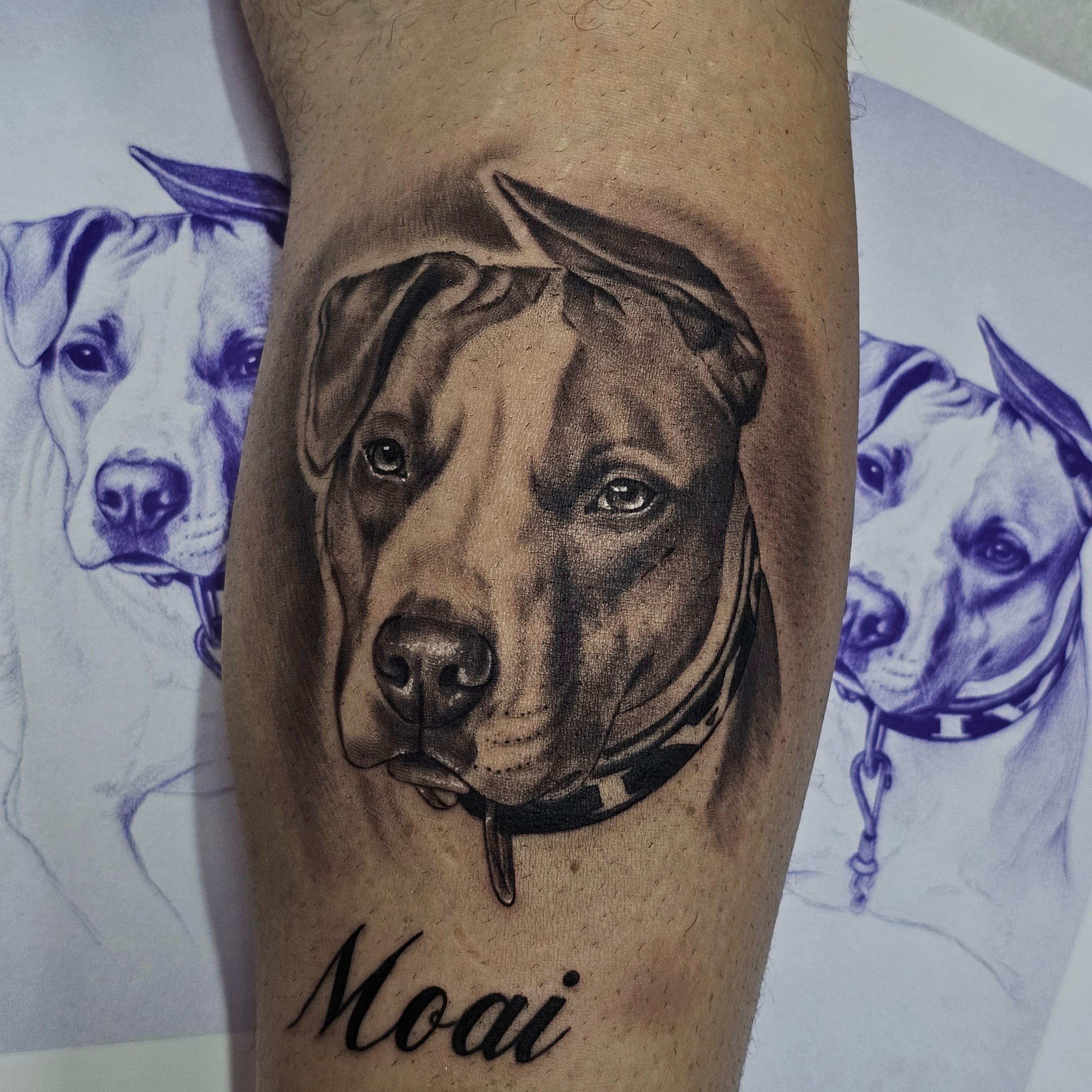 Pet Tattoo #8