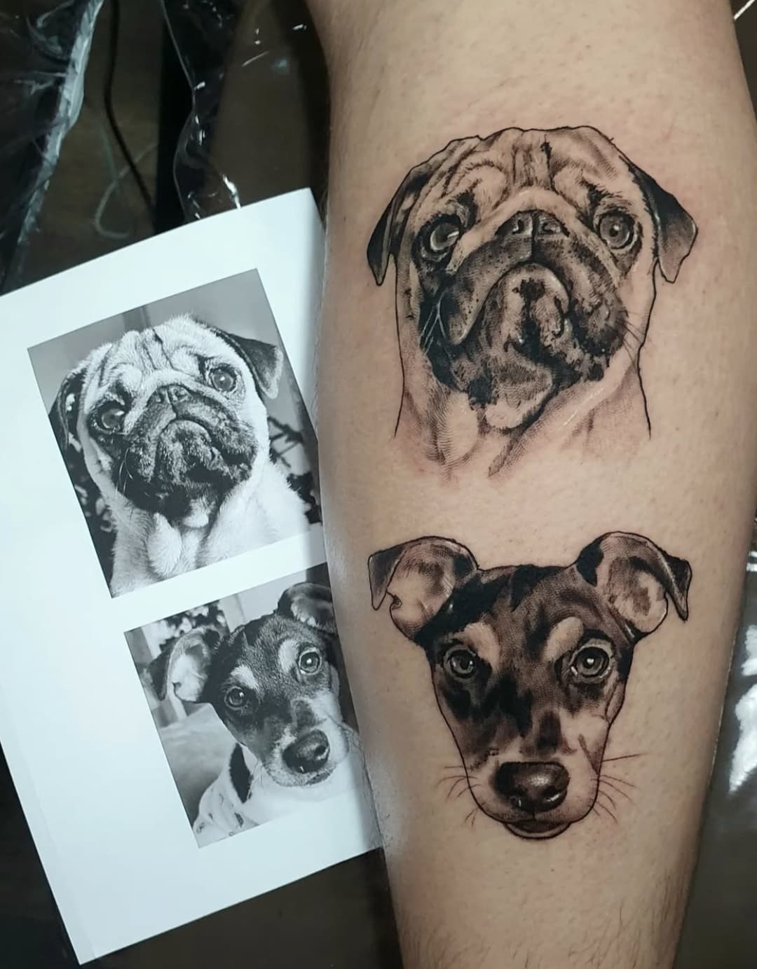 Pet Tattoo #9
